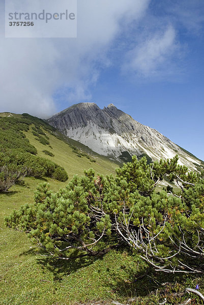 Mondscheinspitze  Karwendel-Gebirge  Tirol  Österreich  Europa