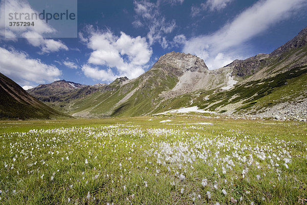 Löcher Kogel  Köpfle  Schneidiges Wandle  See Kogel vom Riffelsee aus gesehen  Pitztaler Alpen  Tirol  Österreich  Europa
