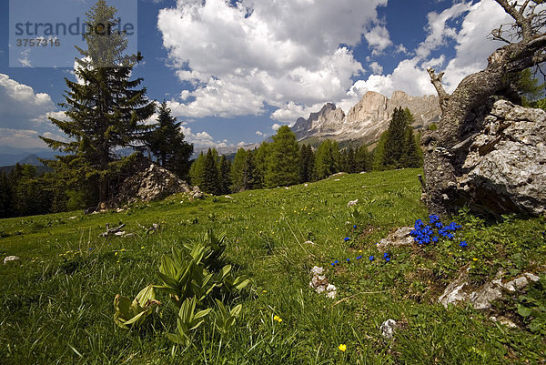 Rosengarten-Gruppe  Dolomiten  Südtirol  Italien  Europa