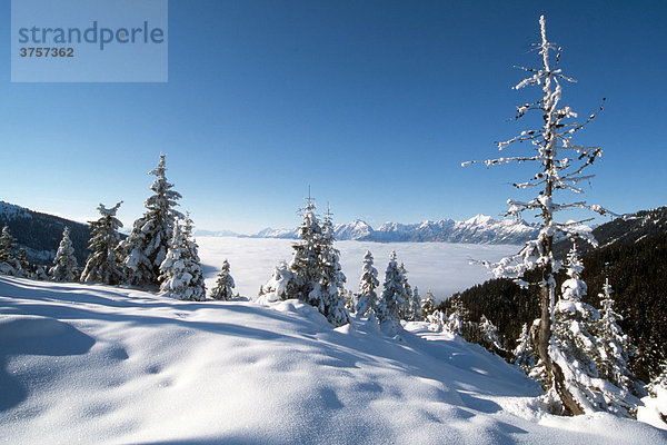 Winterlandschaft  Unterinntal  Tirol  Österreich  Europa