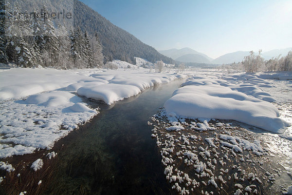 Winterlandschaft  Pillersee  Tirol  Österreich  Europa