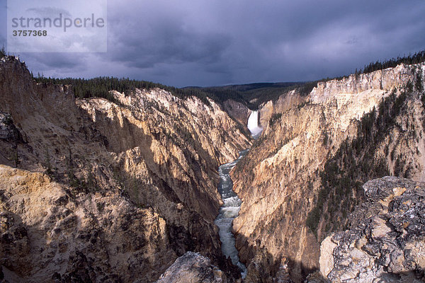Lower Falls  Grand Canyon of the Yellowstone  Yellowstone Nationalpark  Wyoming  USA  Nordamerika