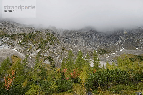 Gebirgslandschaft im Herbst  Stallental  Karwendelgebirge  Tirol  Österreich  Europa