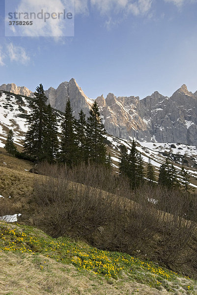 Laliderer Wände  von der Ladiz-Alm aus gesehen  Karwendelgebirge  Tirol  Österreich  Europa