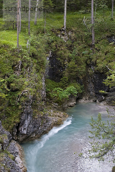 Schlucht Schwarzwassertal  Nähe Zusammenfluss mit Lech  Lechtal  Tirol  Österreich  Europa
