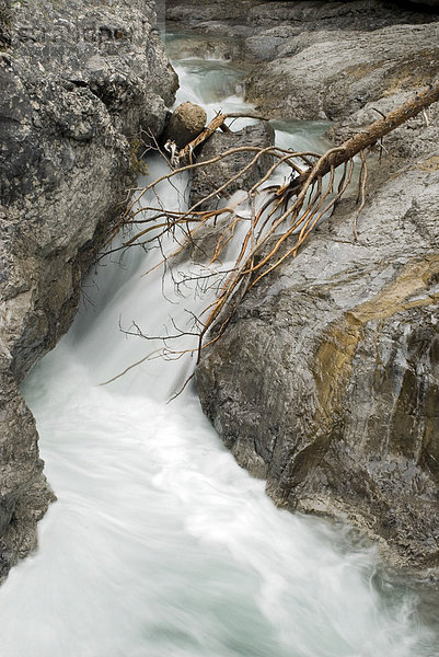Schlucht Schwarzwassertal  Nähe Zusammenfluss mit Lech  Lechtal  Tirol  Österreich  Europa