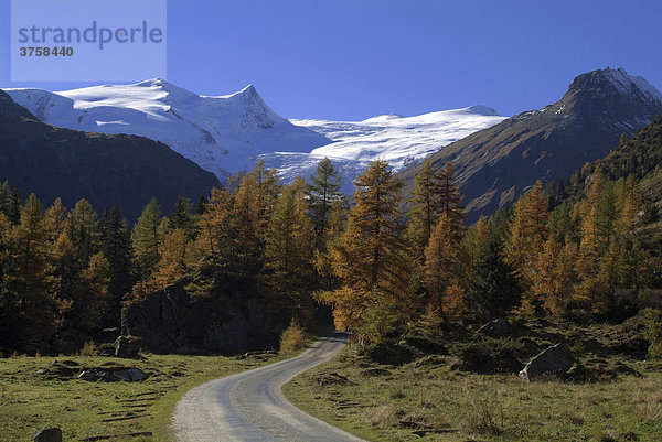 Großvenediger  von Innergschlöß aus gesehen  Nationalpark Hohe Tauern  Osttirol  Österreich  Europa