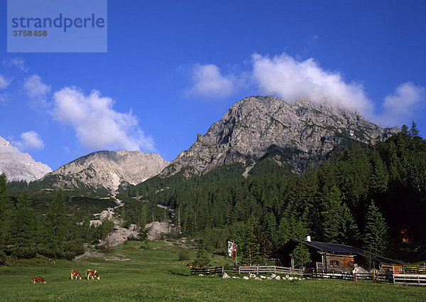 Stallen-Alm  Hahnkampl und Rauher Knöll  Stallental  Karwendel-Gebirge  Tirol  Österreich  Europa