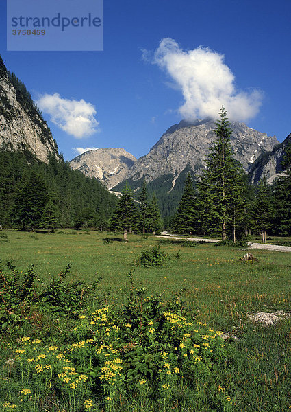 Stallental  Hahnkampl und Rauher Knöll  Karwendel-Gebirge  Tirol  Österreich  Europa