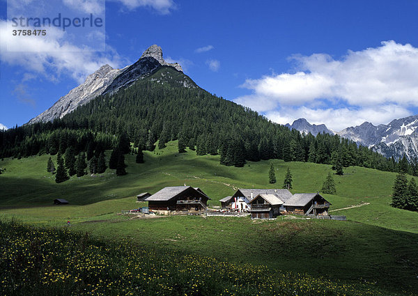 Walder-Alm  dahinter Walderkamp-Spitze und Hundskopf  Karwendel-Gebirge  Tirol  Österreich  Europa