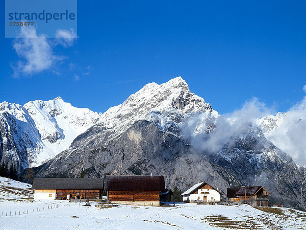 Walder-Alm alpine pasture  Karwendel Range  Tyrol  Austria  Europe