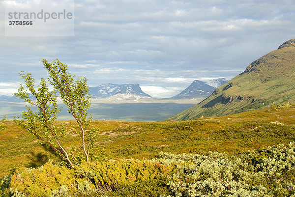 Fjellandschaft mit Blick auf das Lapporten Abisko Nationalpark Lappland Schweden