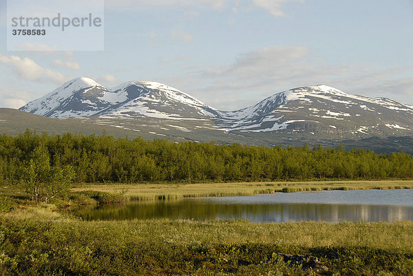 Unberührte weite Fjällandschaft mit See  Wald und schneebedeckten Bergen  Abisko Nationalpark  Lappland  Schweden