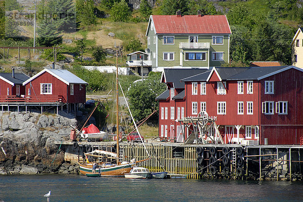 Rote Fischerhäuser  Rorbuer (Rorbu) Häuser  Lofoten  Norwegen