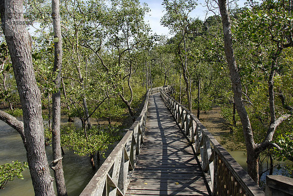 Steg aus Holz durch Mangroven  Bako Nationalpark  Sarawak  Borneo  Malaysia  Asien