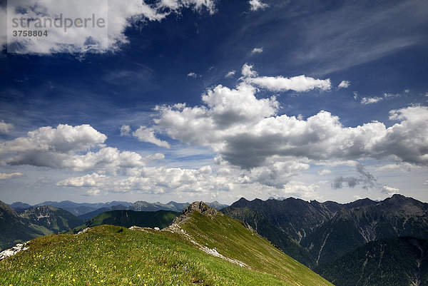 Grasiger Gipfelgrat der Schlierewand mit Lechtaler Alpen  Berwang  Tirol  Österreich