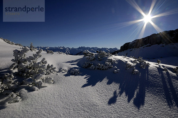 Schneelandschaft mit Allgäuer Alpen  Kleinwalsertal  Vorarlberg  Östereich