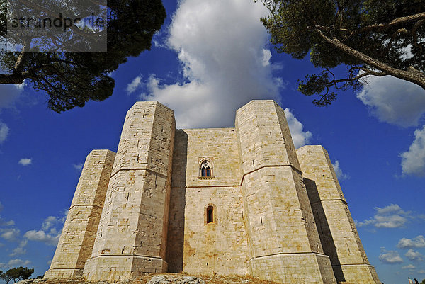 Schloss Castel del Monte  Kaiserkrone aus Stein  Apulien  Süditalien  Italien