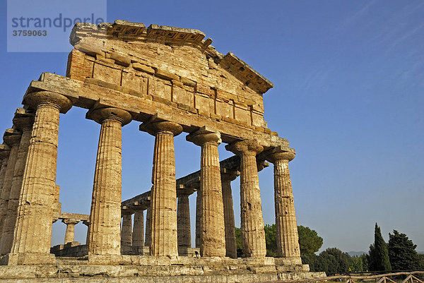 Paestum  Monument griechischer Baukunst  Provinz Salerno  Kampanien  Süditalien  Italien