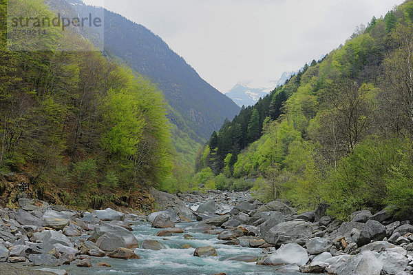Fluss Verzasca bei Lavertezzo im Tessin  Schweiz  Europa
