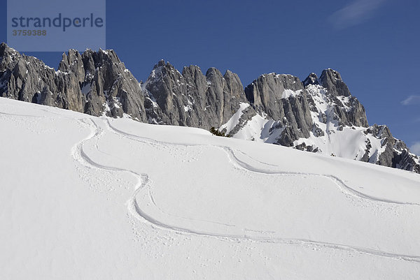 Skispuren in einem Berghang Wilder Kaiser Gebirge hinten Ackerspitze  Tirol  Österreich  Europa