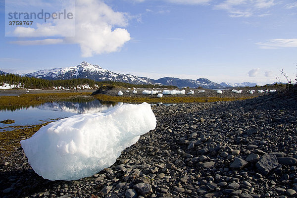 Eisblöcke und Eisberge auf dem Ufer  Prince William Sound  Alaska  USA
