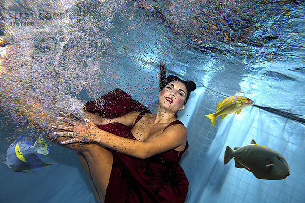 Unterwasser Pin-Up-Aufnahme  Frau im roten Abendkleid taucht unter und verscheucht farbige Südseefische.