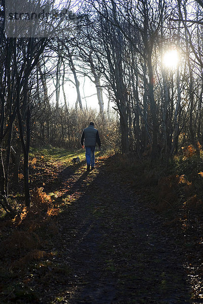 Ein Mann geht mit seinem Hund im Winter im Wald spazieren