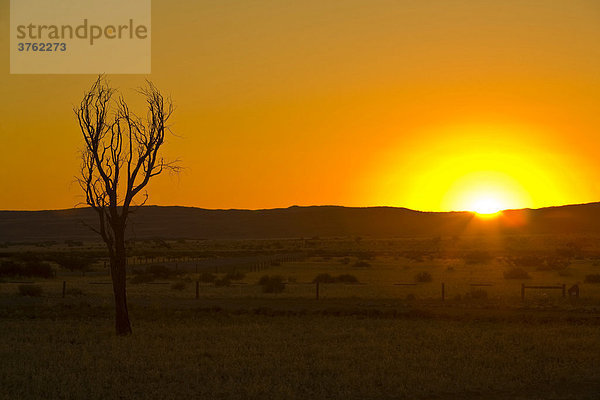 Sonnenuntergang in der Namibwüste Namibia  Afrika