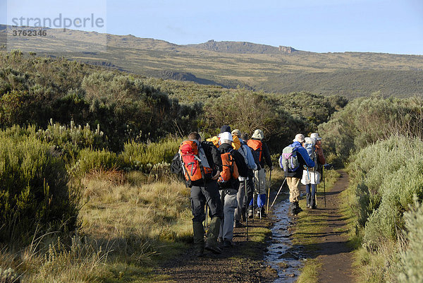 Trekkinggruppe auf Pfad in Heidelandschaft Mount Kenia Nationalpark Kenia