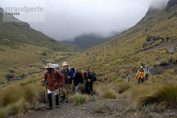 Trekkinggruppe mit einheimischen Führer auf Pfad in Moorlandschaft Mount Kenia Nationalpark Kenia