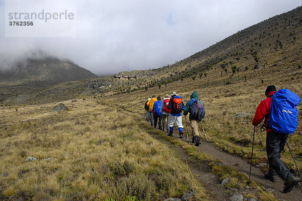 Trekkinggruppe auf Pfad in Moorlandschaft Mount Kenia Nationalpark Kenia