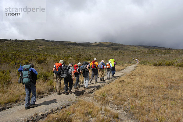 Trekkinggruppe auf der Rongai Route Kilimandscharo Tansania