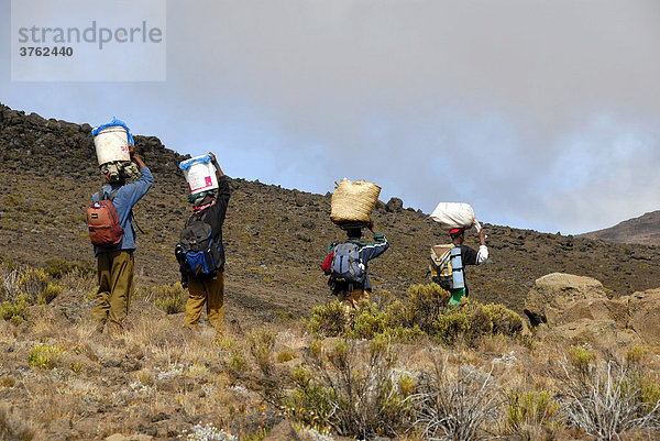 Einheimische Träger tragen schwere Lasten Kikelewa Route Kilimandscharo Tansania