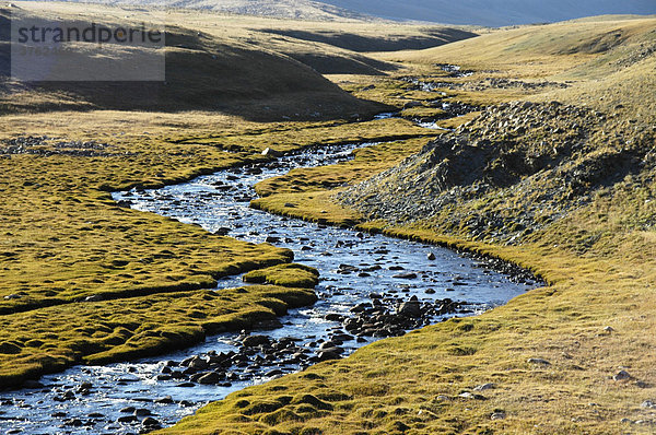 Blau schimmernder Fluß schlängelt sich durch grüne Steppe Kharkhiraa Mongolischer Altai bei Ulaangom Uvs Aimag Mongolei