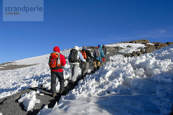 Gruppe Bergsteiger läuft durch verharschten Schnee zum Uhuru Peak (5895 m) Kraterrand Kilimandscharo Tansania