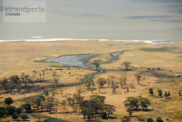 Blick auf Bäume Grasland Savanne und See Lake Magadi im Ngorongoro Krater Tansania