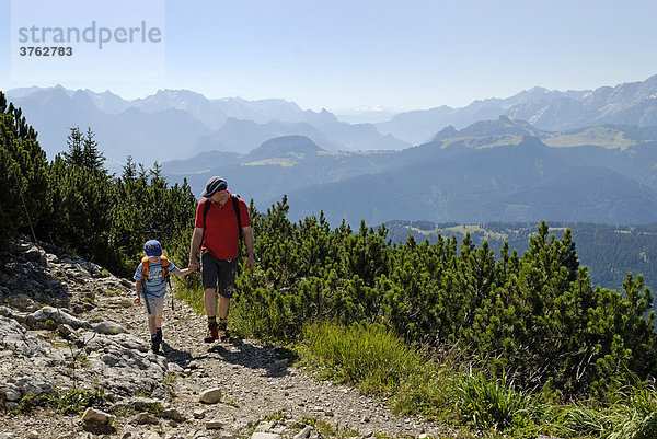 Am Dürrnbachhorn über der Winklmoosalm bei Reit im Winkl Chiemgau Oberbayern Deutschland