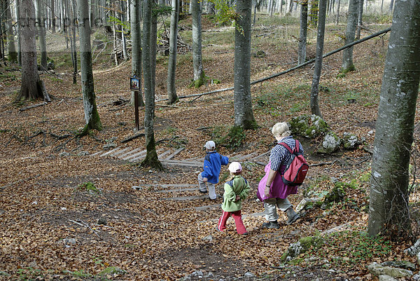 Familie beim wandern durch den herbstlichen Wald