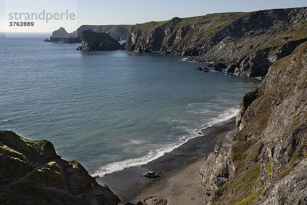 Strand und Steilküste  Cornwall  England  Großbritannien