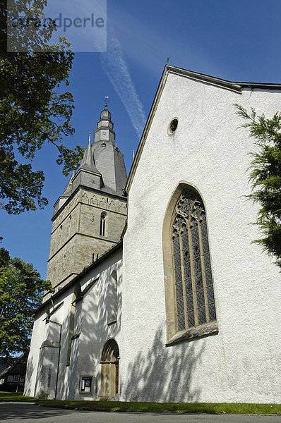 Propsteikirche  St Petrus und Andreas  Brilon  NRW  Nordrhein Westfalen  Deutschland
