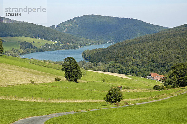 Naturpark  Diemelsee  Brilon  Marsberg  NRW  Nordrhein Westfalen  Deutschland