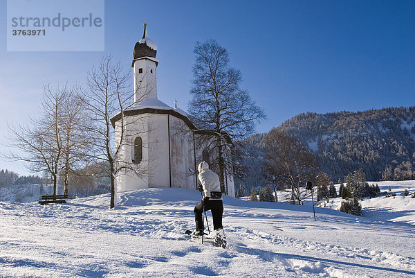 Frau beim Schneeschuhgehen  vor Annakircherl  Achenkirch  Tirol  Österreich