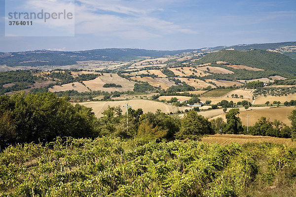 Landschaft mit abgemähten Feldern Toskana Italien