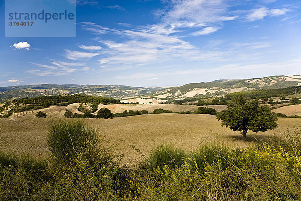 Landschaft mit abgemähten Feldern Toskana Italien