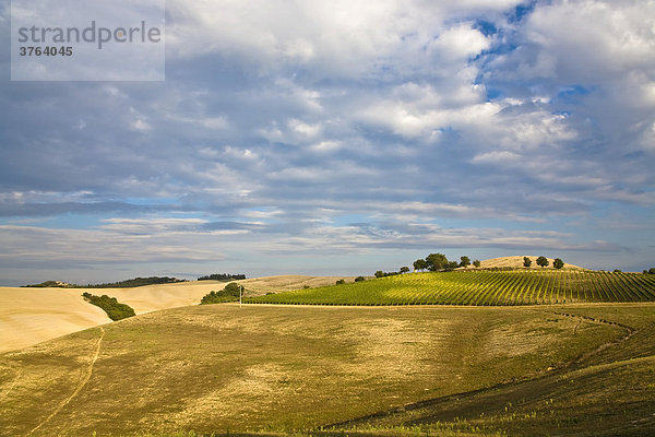 Landschaft der Crete Nahe Pienza Toskana Italien