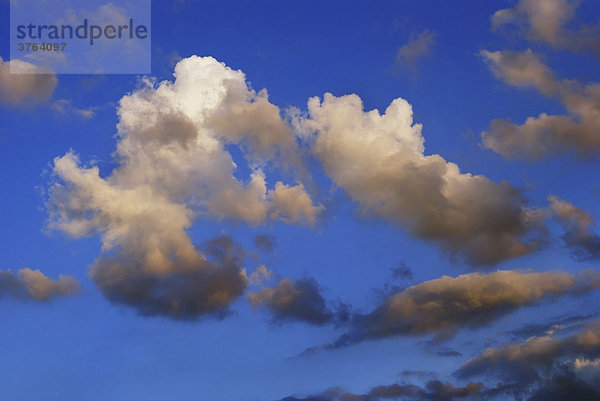 Quellwolken im Abendlicht