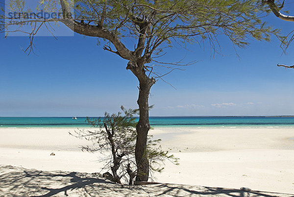 Strand von Matemo Island  Quirimbas Archipel  Mosambik  Afrika
