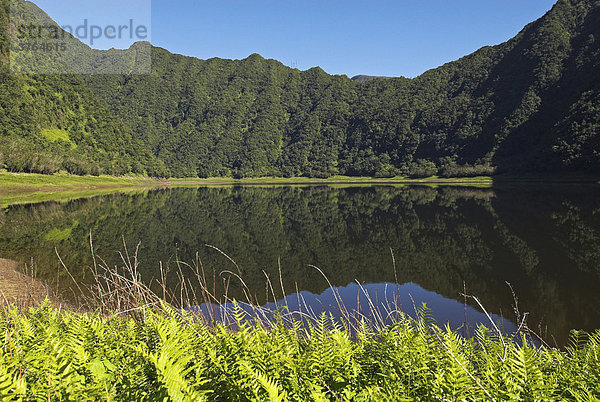 Bergwelt am Grand Etang  Insel La Reunion  Frankreich  Afrika