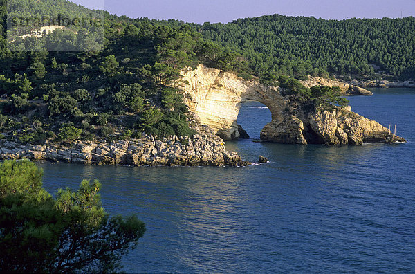 Der Arco Naturale bei Vieste  Gargano  Apulien  Italien